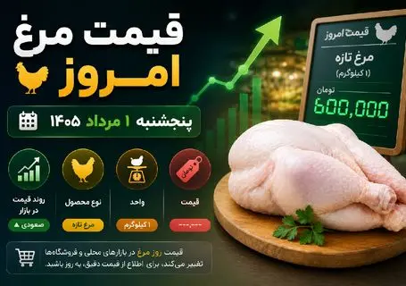 قیمت مرغ امروز پنجشنبه ۱ مرداد ۱۴۰۵ / آخرین قیمت فیله، سینه، ران و مرغ کامل + جدول