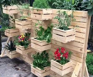 ایده های خلاقانه؛ باغچه که فقط نباید روی زمین باشه تو با جعبه میوه یه ایستادشو بساز