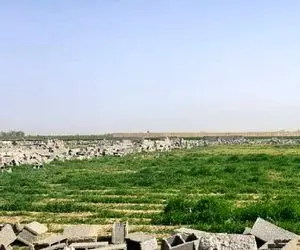 ۱۱۵ هکتار از اراضی کشاورزی ساوجبلاغ آزادسازی شد