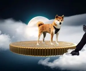 پیش بینی قیمت شیبااینو!