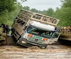 معماری طبیعت؛ راننده خاور خودشو و گاوهاشو روده پیچ کرد