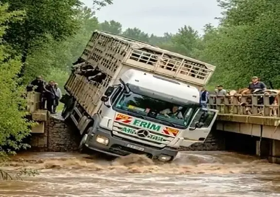 معماری طبیعت؛ راننده خاور خودشو و گاوهاشو روده پیچ کرد