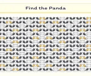 بازی فکری؛ زیر 5 ثانیه پاندا رو پیدا نکردی خودت قبول کن فقط ادعا داری و حرفت باد هواس