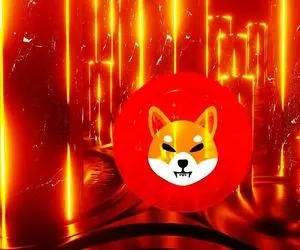 فلوکی باعث خداحافظی شیبااینو شد؟