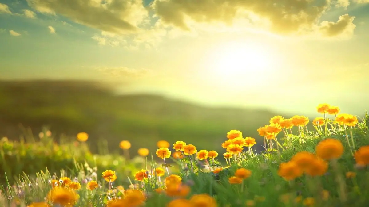 Good-morning-energetic