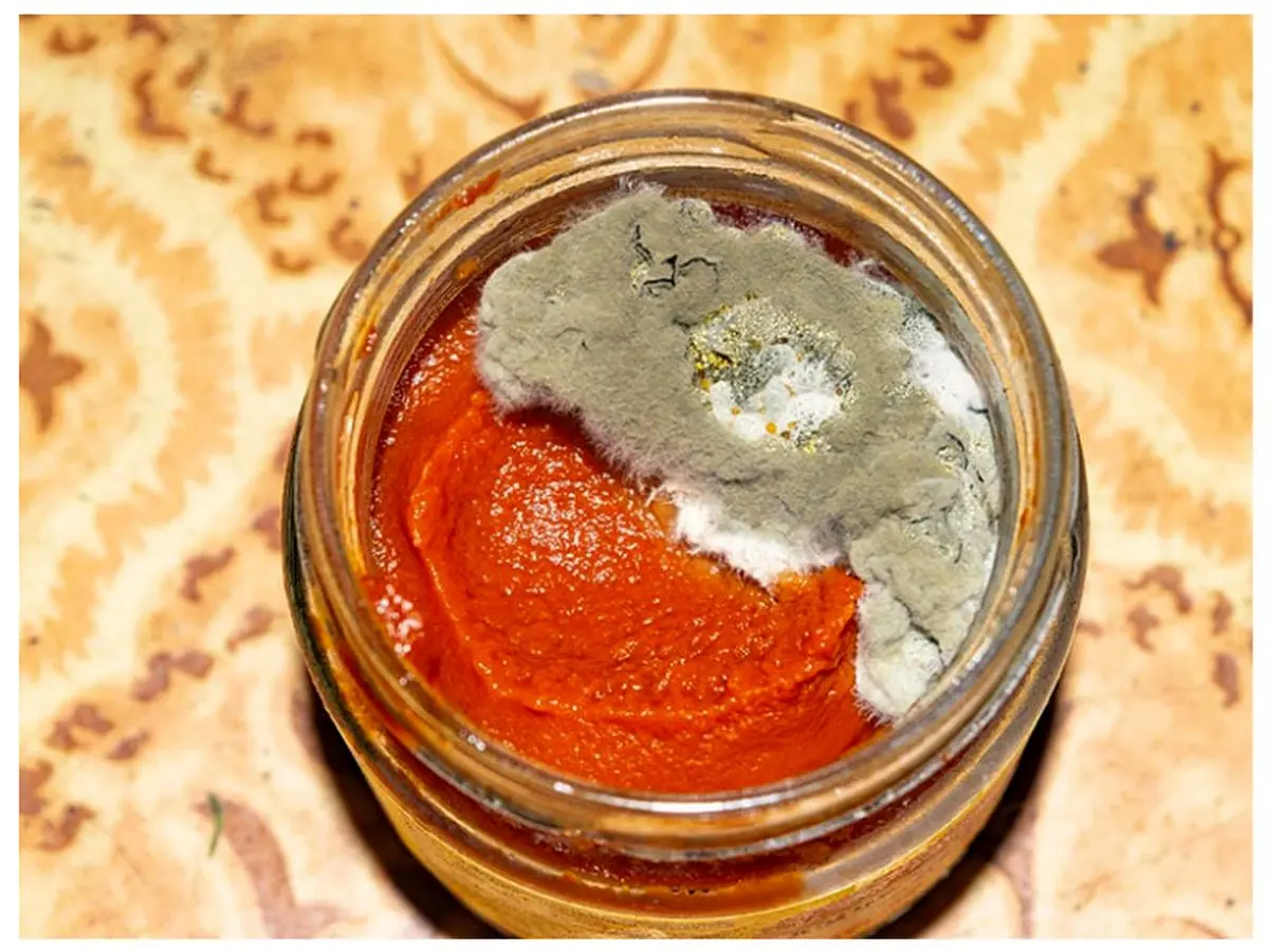 image-20250216133117-1