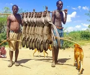 کباب میمون؛ بربرهای وحشی میمون ها رو بیرحمانه زجرکش میکنن پوستش لباس میشه گوشتش کباب