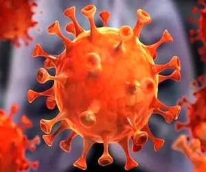 
سوختن ۵ البرزی در آتش کرونا
