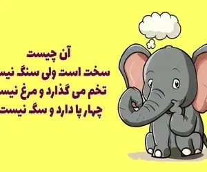 چیستان؛ اون چیه که سخته ولی سنگ نیس، تخم میذاره و مرغ نیس، چهارتا پا داره ولی سگ نیس؟