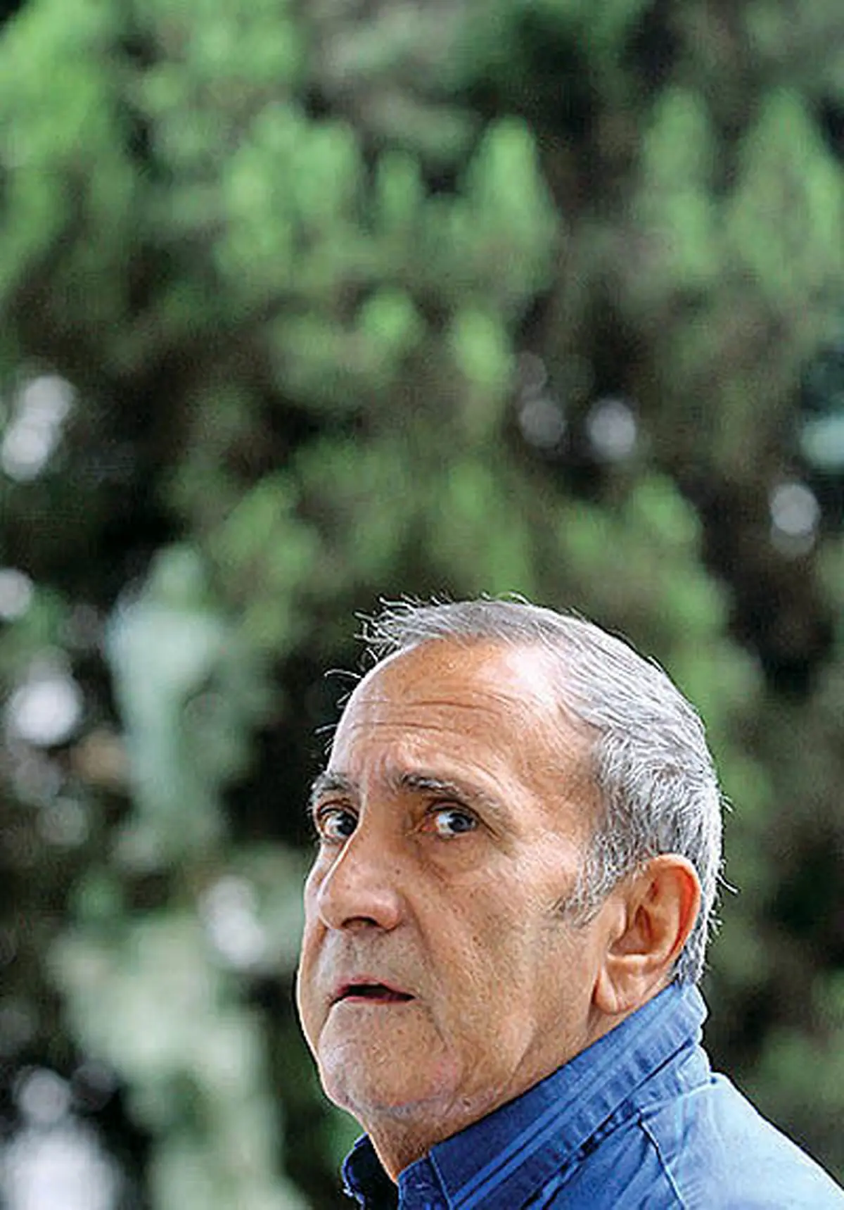 jpg