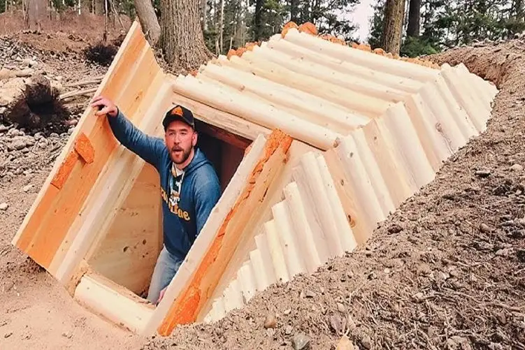 معماری خلاقانه؛ زمین جنگل با پیکور کند خونه ساخت نزدیک هسته زمین خرس نخورتش