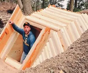 معماری خلاقانه؛ زمین جنگل با پیکور کند خونه ساخت نزدیک هسته زمین خرس نخورتش