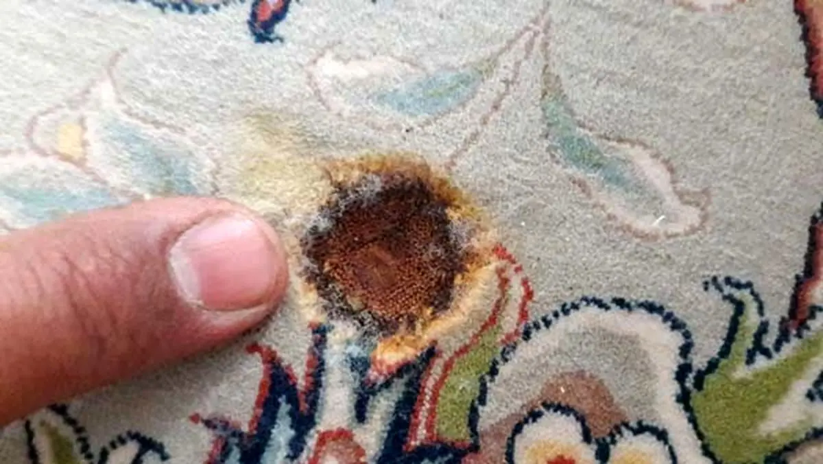 ترفند از بین بردن لکه سوختگی از فرش
