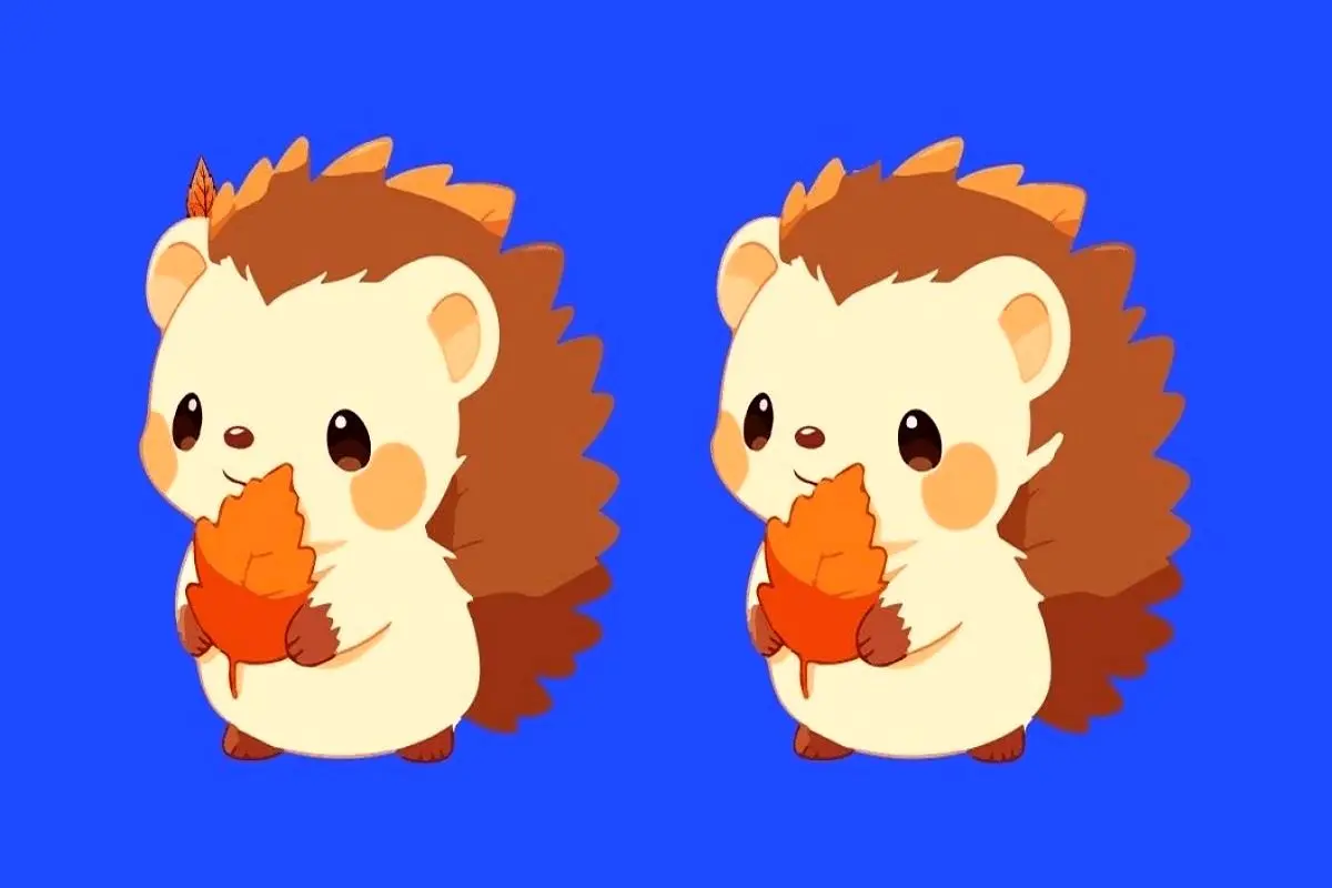 تفاوت-تصویری-بین-جوجه-تیغی