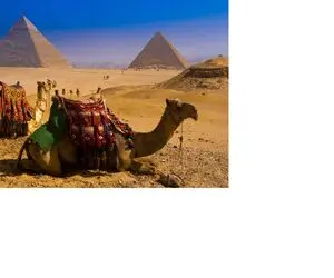 قصه های عامیانه شبانه؛ شنیدی میگن اشک تمساح میریزه، بیا تاداستانشو بگم