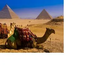 قصه های عامیانه شبانه؛ شنیدی میگن اشک تمساح میریزه، بیا تاداستانشو بگم