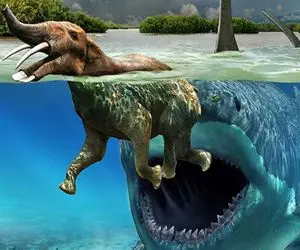 حیوانات غول پیکر؛ این نهنگ دراکولا یه فیل 100 تنی رو با ارواره‌هاش پاره پاره کرد