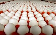 امکان کاهش قیمت تخم مرغ