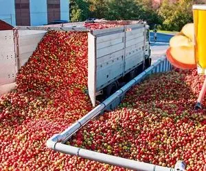 کشاورزی نوین؛ ماشینای مدرن که تو مزارع کارخونه سرخود برای چیدن و آبگیری استفاده میشه