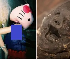 جنون شکنجه زنان/ قاتل پس از تجاوز قربانی را تیکه و در عروسک Hello Kitty مخفی کرد
