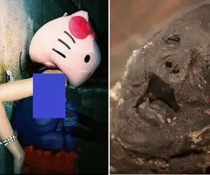 جنون شکنجه زنان/ قاتل پس از تجاوز قربانی را تیکه و در عروسک Hello Kitty مخفی کرد