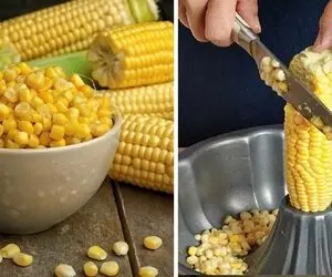 نحوه پخت و فریز کردن ذرت / چجوری ذرت رو درسته یا دون شده بپزی و نگهداری همرو گفتم
