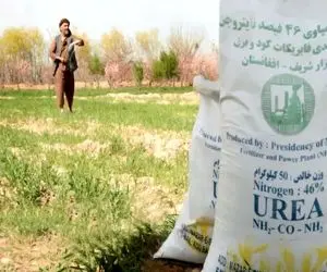 مافیا بازی ادامه دارد اینبار اتباع با سم بلای جان مردم شدند! 