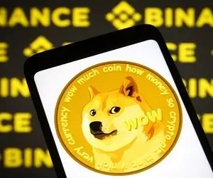 دوج کوین چرا از ایلان ماسک شکایت کرد؟