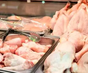 قیمت مرغ امروز ۲۰ تیر ۱۴۰۵ | آخرین نرخ مرغ کامل، سینه، ران و فیله در بازار + جدول