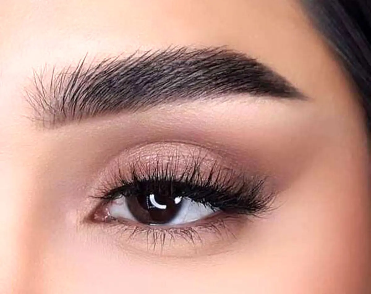 ساده2