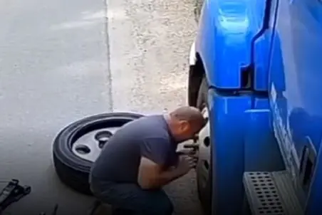 معماری طبیعت؛ شیر خیال کرد با مرد دلی از عزا درمیاره ولی دست از پا درازتر برگشت