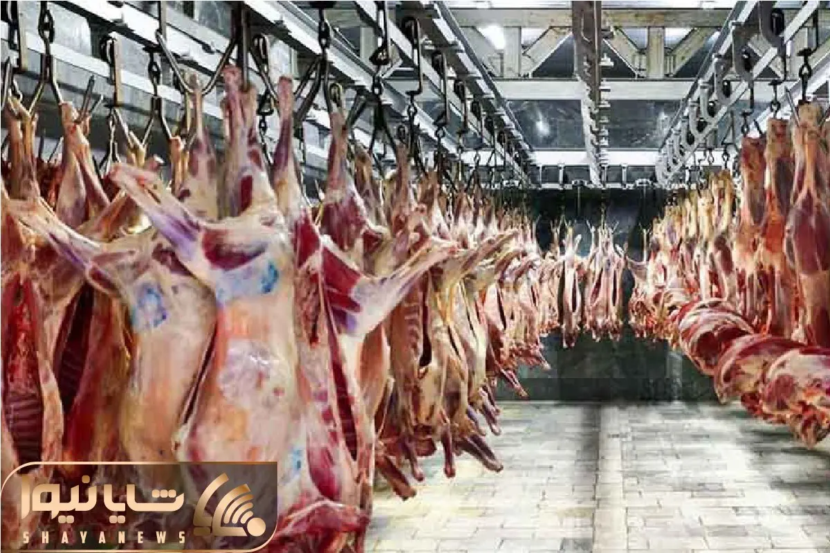 (جدول) قیمت دام زنده ۱۲ آذر ۱۴۰۳/ نرخ گوساله زنده تغییر کرد 