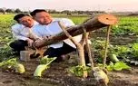 کشاورزی نوین؛ پت و مت تو دنیای واقعی یه چی اختراع کردن واسه چیدن ترب کاش نمیکردن