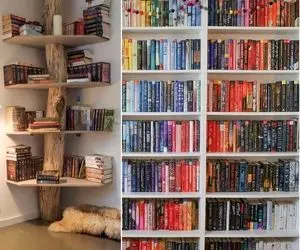 ایده های چیدمان کتاب در کتابخانه/ سبک خاص خودت برای چیدن و تزئین کتابخونه رو پیدا کن