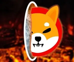 هدف اصلی شیبااینو چیست؟ امیدی به رشد آن هست؟!