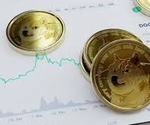 دوج کوین سیاه بخت شد؟