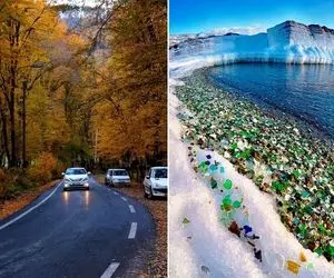 پاییز کجا بریم؟ تو این سفرا قراره تو دل جنگل ابرا رو بغل کنی یا تو کویر شبتو سحر کنی