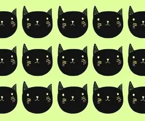 بازی فکری؛ اگه قلب همه رو فریز کردی با هوشت گربه اضافی رو بی گربه سیاه ها پیدا کن