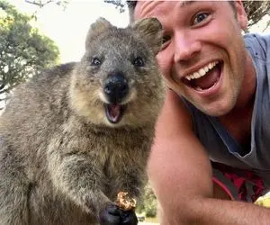 راز بقا؛ حیوون بامزه بچه‌اش رو با خودش توی یه کیسه حمل میکنه اما کانگورو نیست 