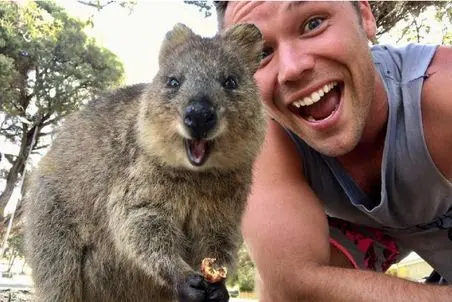 راز بقا؛ حیوون بامزه بچه‌اش رو با خودش توی یه کیسه حمل میکنه اما کانگورو نیست 