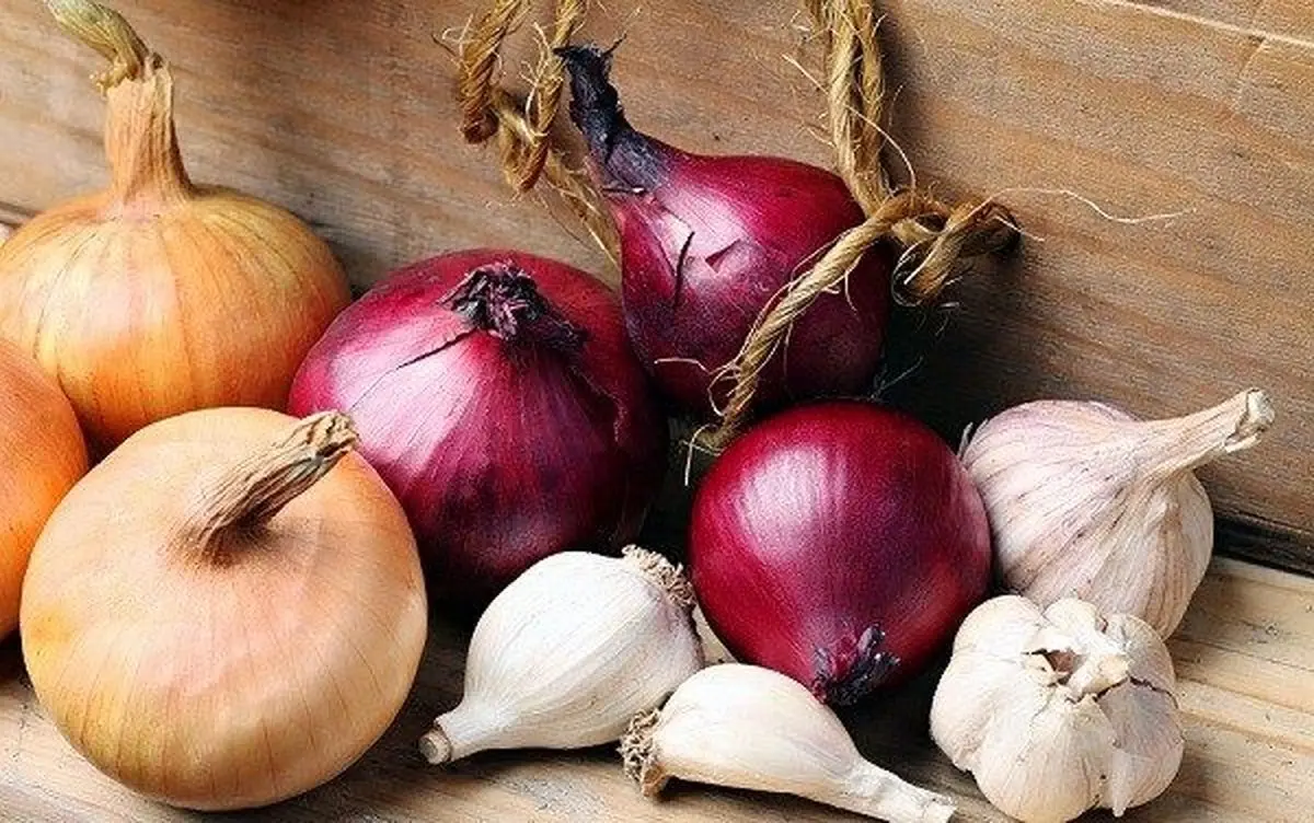 garlic-onion