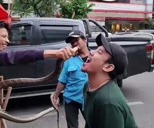 غذای خیابانی چندش؛ مار به اون بزرگی رو زنده زنده پوست کند خونشو چکوند تو دهن آقاهه!