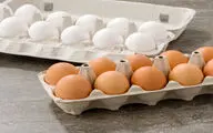 افزایش 20 درصدی قیمت تخم مرغ در بازار برای چیست؟