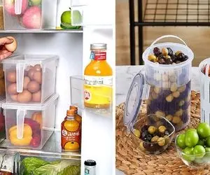 بهترین انواع ظرف یخچالی برای نگهداری از مواد غذایی سرد و گرم / عالین