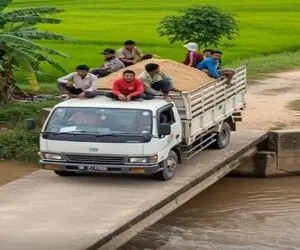 معماری طبیعت؛ بخت یار بچه ها نبود 
