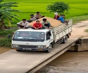 معماری طبیعت؛ بخت یار بچه ها نبود اجلشون سر رسید