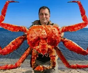 غذای دریایی؛ خرچنگ رو بخارپز میکنن میندازن تو روغن داغ که کیریسپی شه بعدم میزنن تو سس
