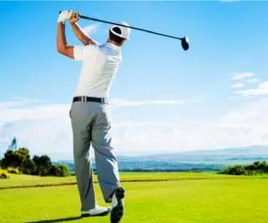 مستند کاوش؛ جان باختن بد شانس ترین پرنده جهان در کل تاریخ با توپ گلف