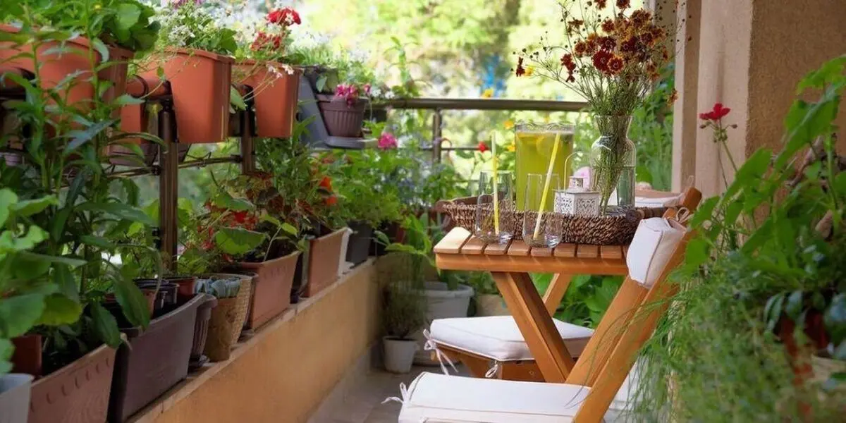 گیاهان مناسب بالکن در سرمای پاییز و زمستان
