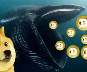 علت پیدایش مشکوک نهنگ دوج کوین؟